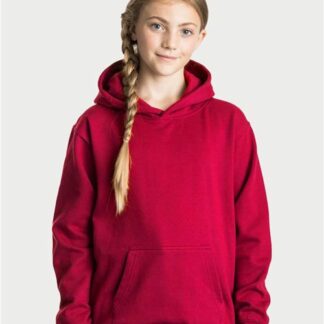 Youth Hooded Sweatshirt